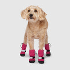 Soft Shield Boots in Pink Reflective, Canada Pooch Dog Boots|| color::pink-reflective|| size::2|| name:: Max the Westipoo || weight::20