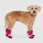 Soft Shield Boots in Pink Reflective, Canada Pooch Dog Boots|| color::pink-reflective|| size::2|| name:: Max the Westipoo || weight::20