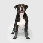 Soft Shield Boots in Green, Canada Pooch Dog Boots|| color::forest-green|| size::4|| name:: Cowboy the Bullmastiff Mix|| weight::92