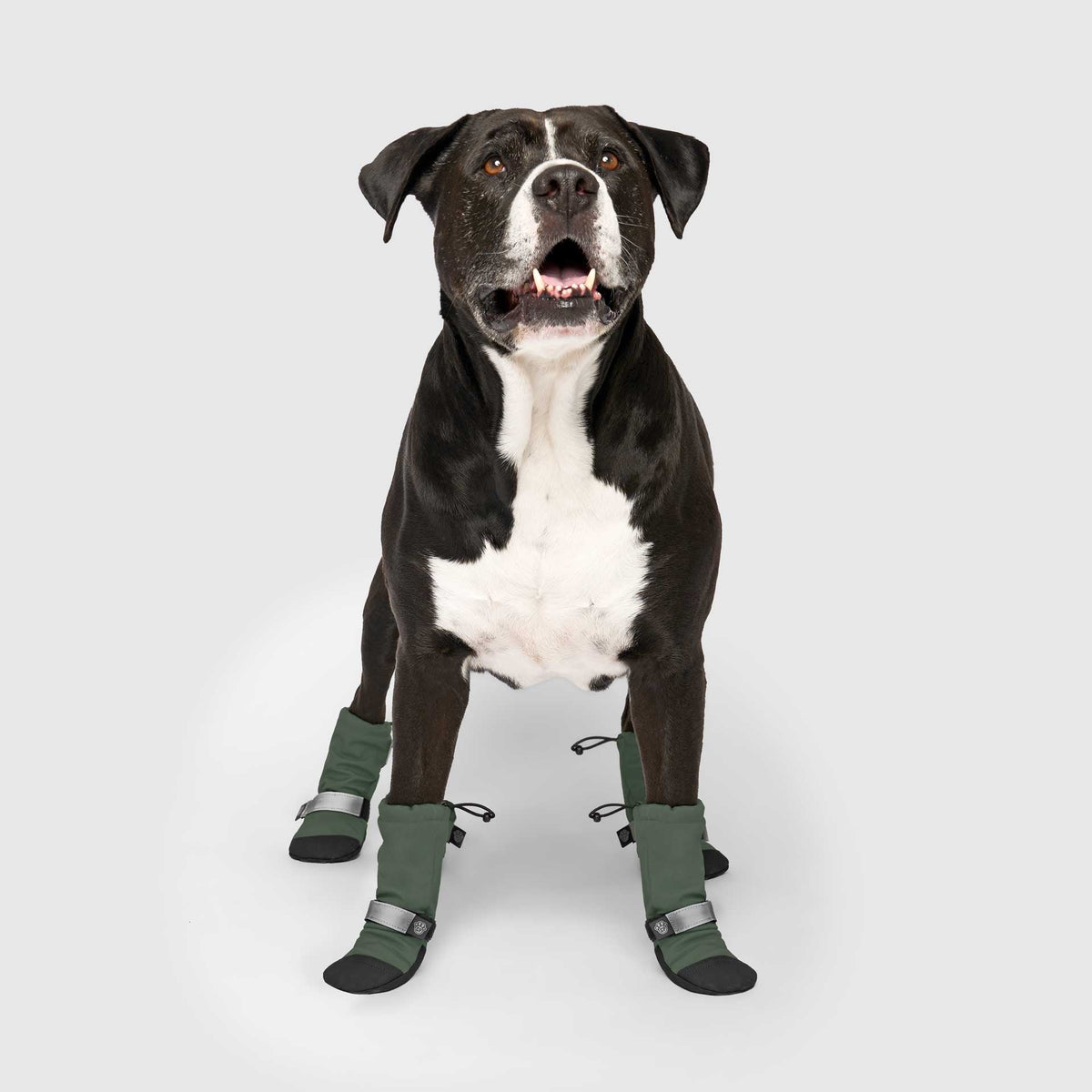 Soft Shield Boots in Green, Canada Pooch Dog Boots|| color::forest-green|| size::4|| name:: Cowboy the Bullmastiff Mix|| weight::92