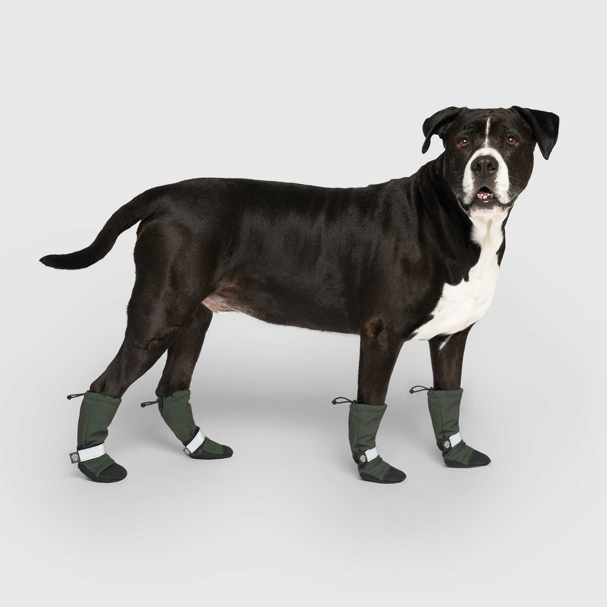 Soft Shield Boots in Green, Canada Pooch Dog Boots|| color::forest-green|| size::4|| name:: Cowboy the Bullmastiff Mix|| weight::92