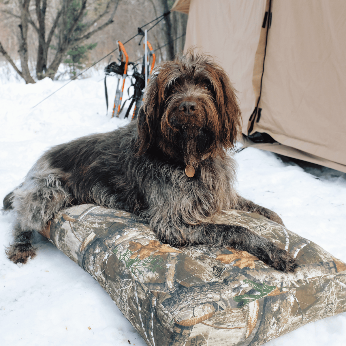 Dog Bed product image 3