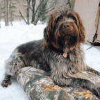 Dog Bed product image 9