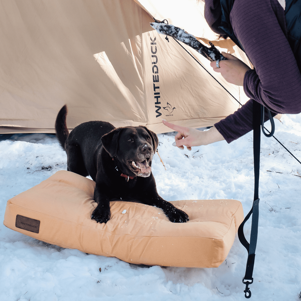 Dog Bed product image 21