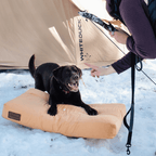 Dog Bed product image 21