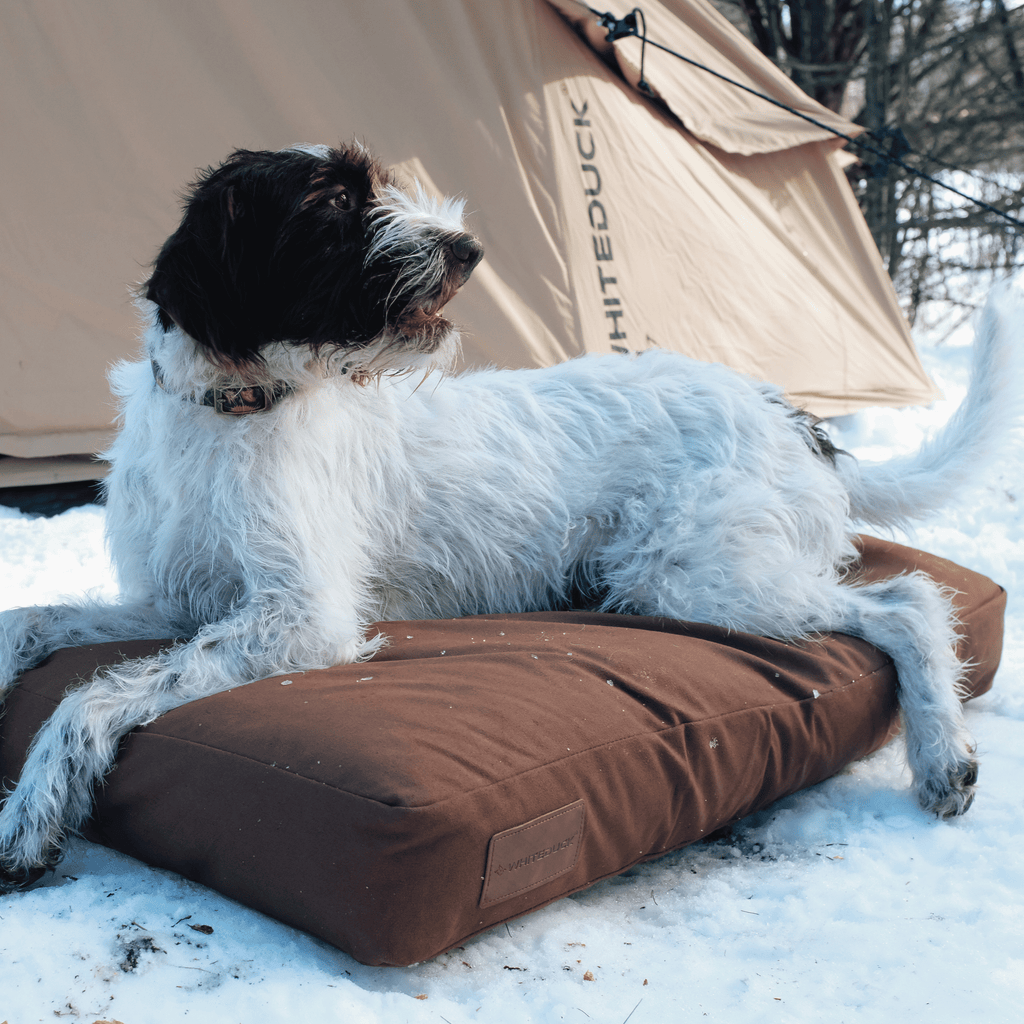 Dog Bed product image 29