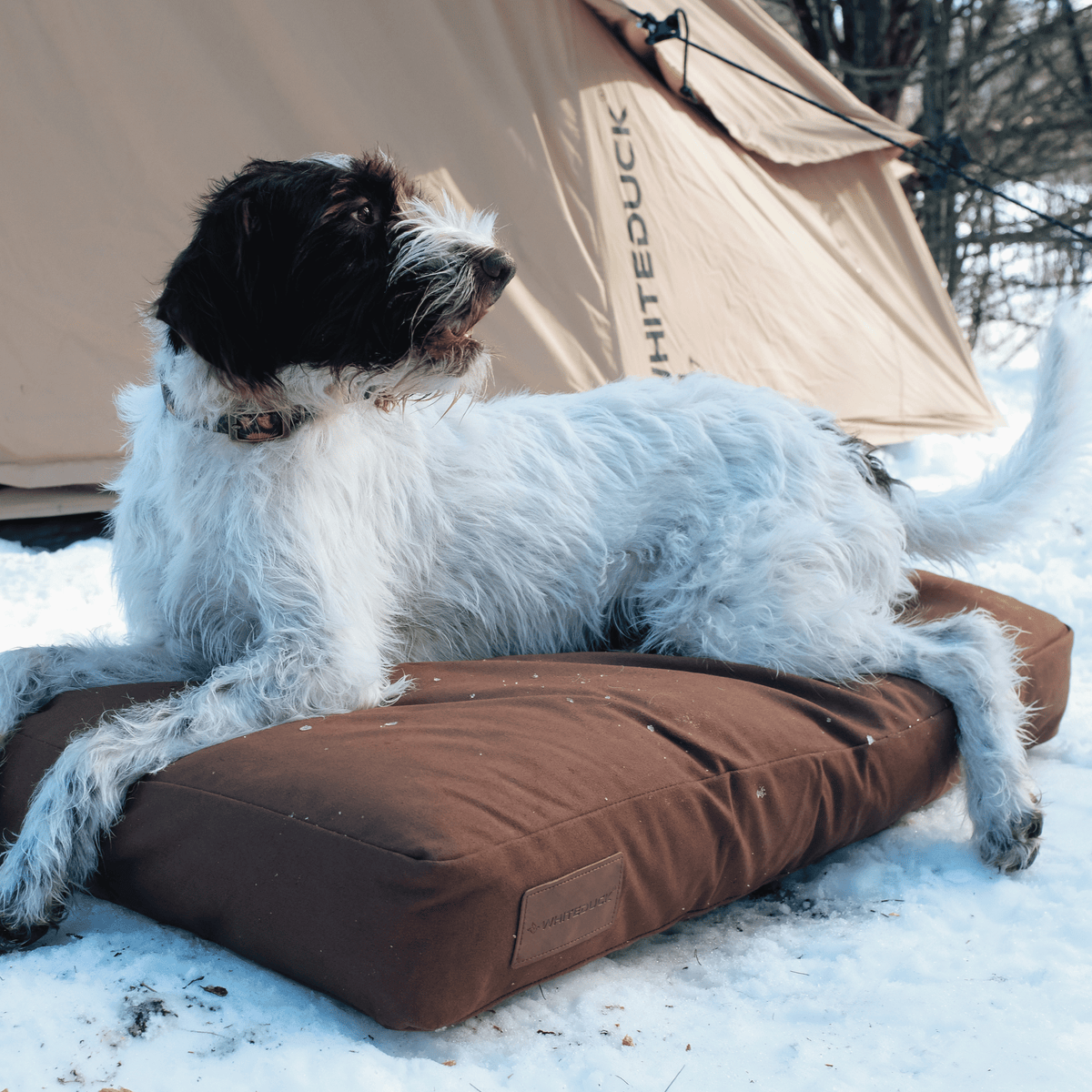 Dog Bed product image 29