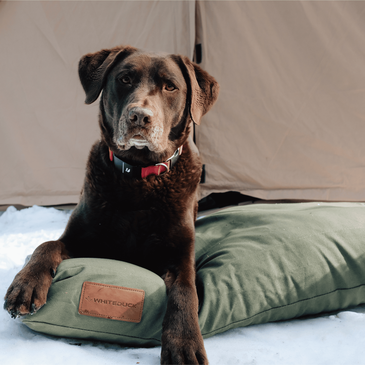 Dog Bed product image 39