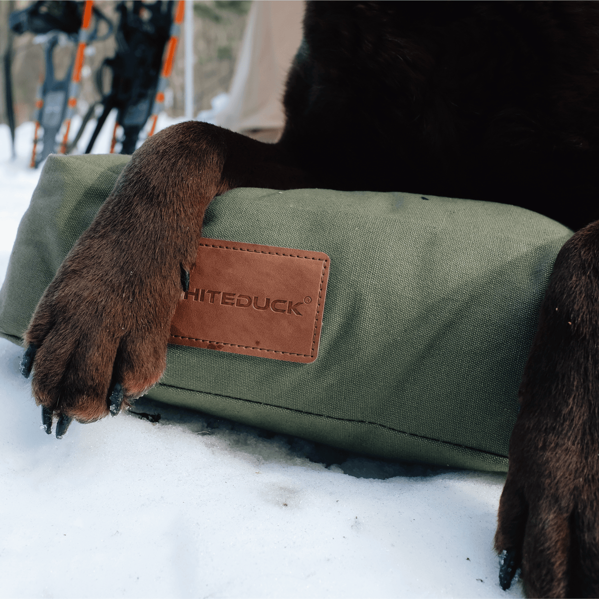 Dog Bed product image 49