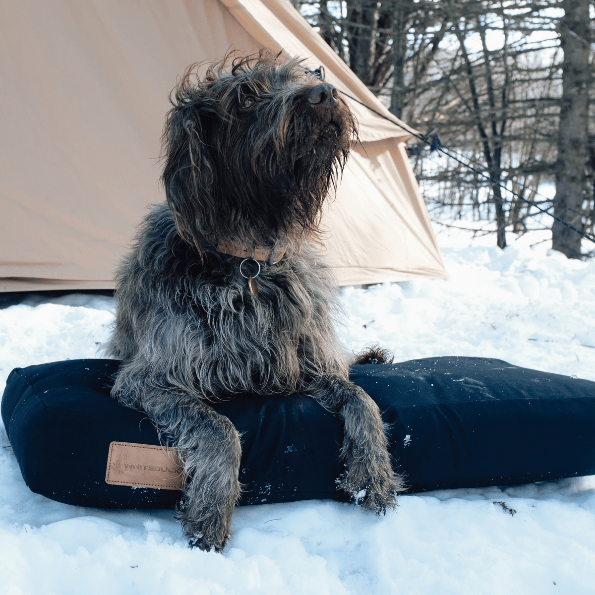 Dog Bed product image 52