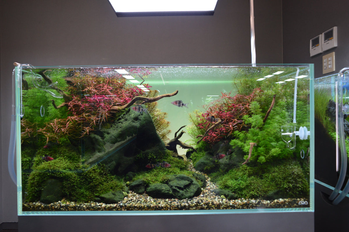 Aquarium Gravel product image 5