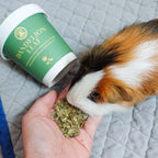 Dandelion Leaf Treats product image 4