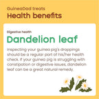 Dandelion Leaf Treats product image 5