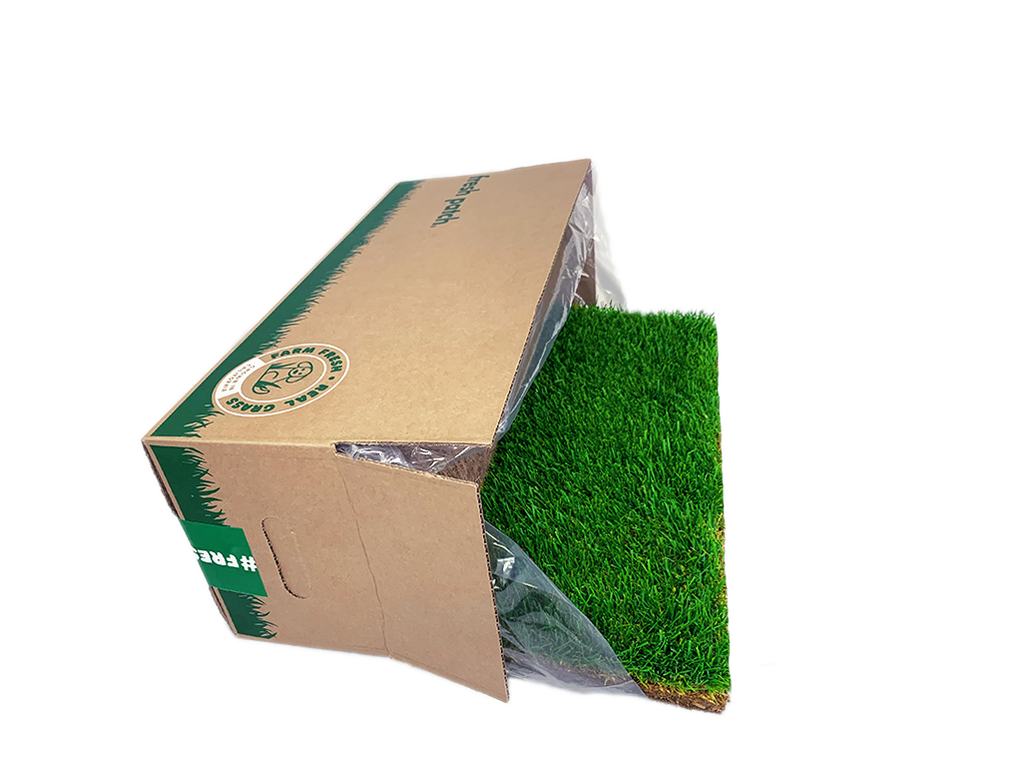Real Grass Dog Potty Training Pad, Default Title