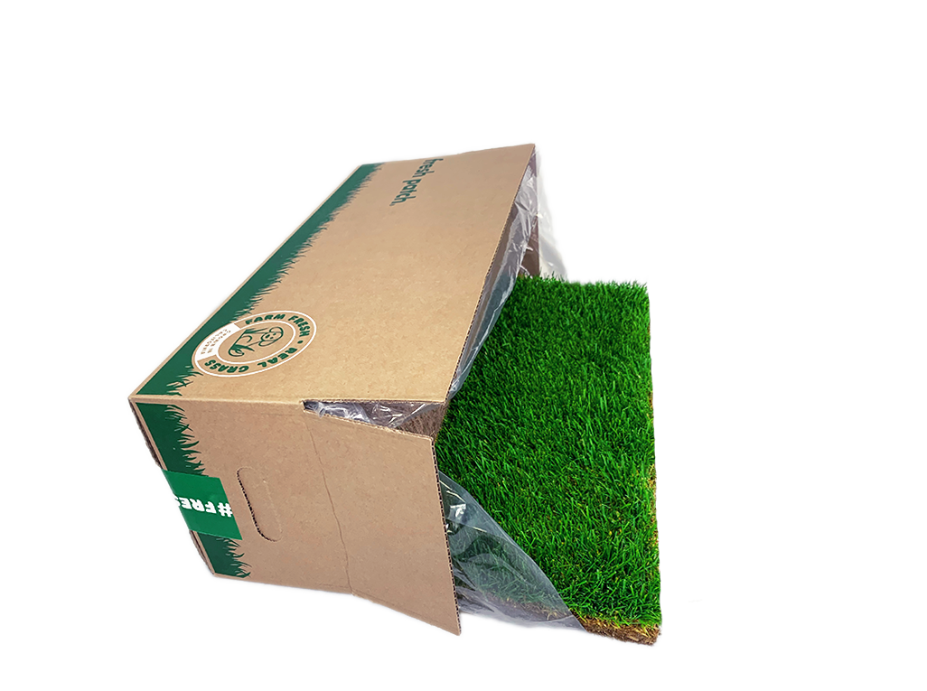 Real Grass Dog Potty Training Pad, Default Title