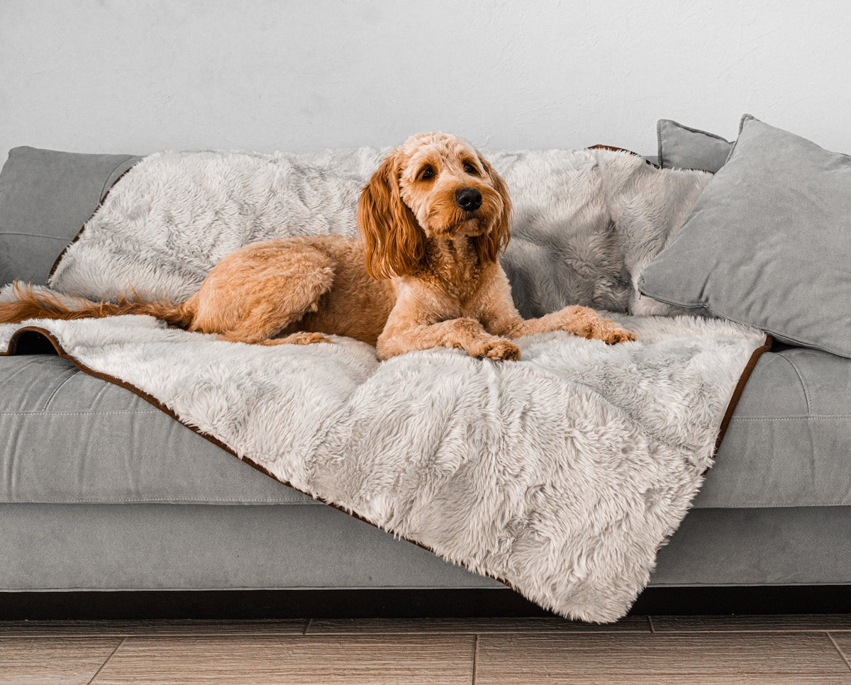 Waterproof Dog Blanket product image 1