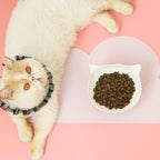Pet Bowl Mat product image 3