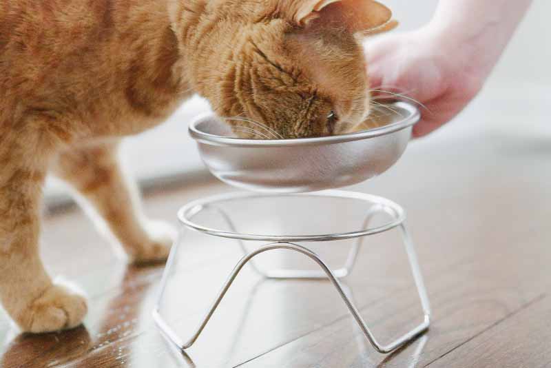Elevated Cat Bowl Stand product image 2
