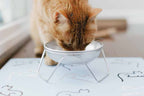 Elevated Cat Bowl Stand product image 6