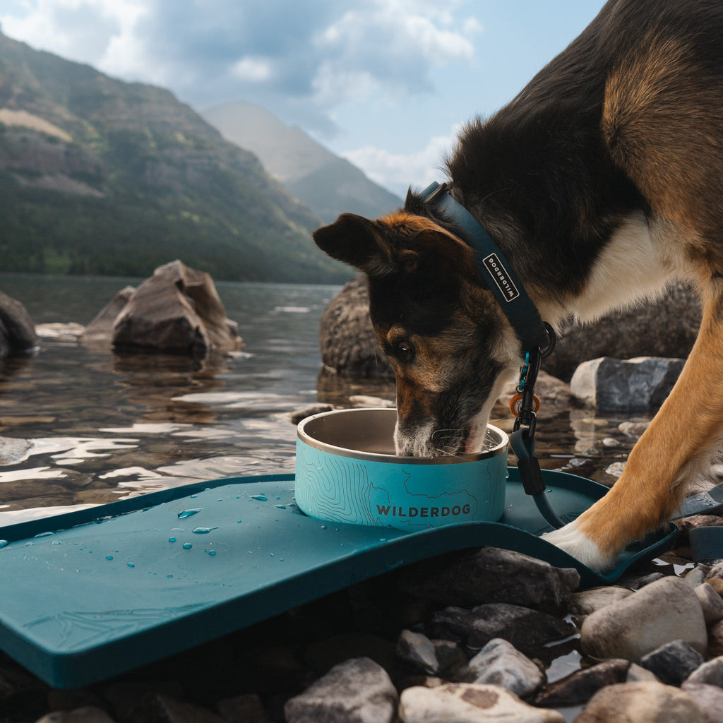 Silicone Dog Bowl Placemat product image 8