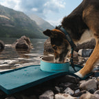 Silicone Dog Bowl Placemat product image 8