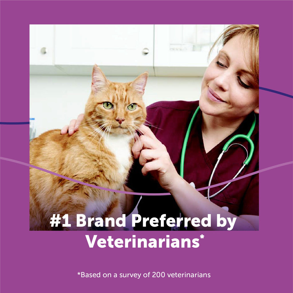 Cat Calming Diffuser Refills product image 7
