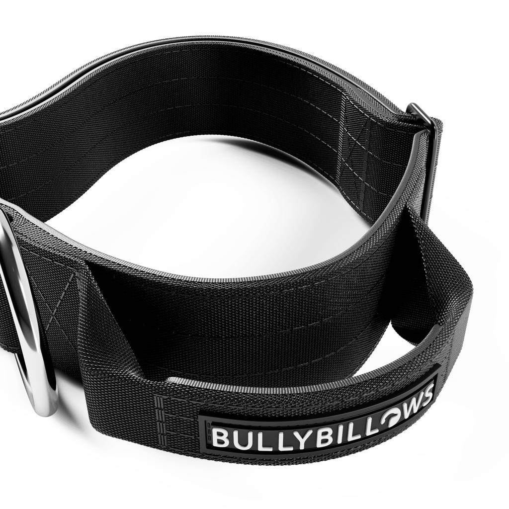 Wide Black Control Handle Dog Collar product image 3