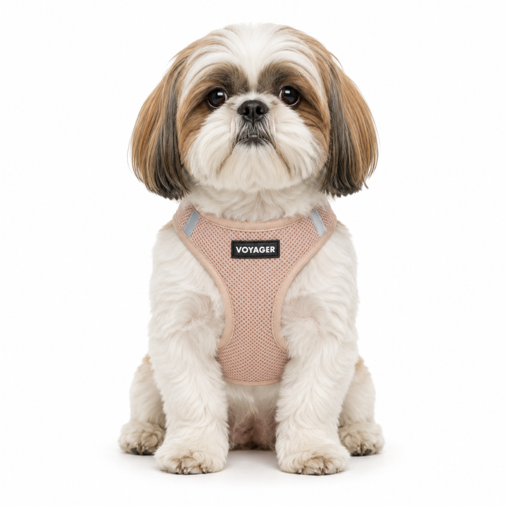 Pet Harness product image 2