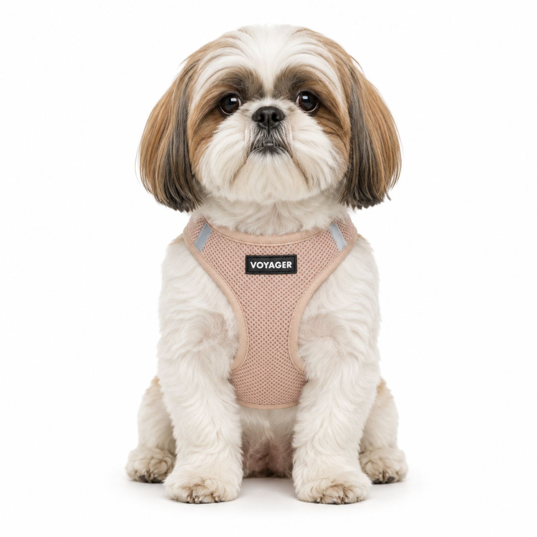 Pet Harness product image 2