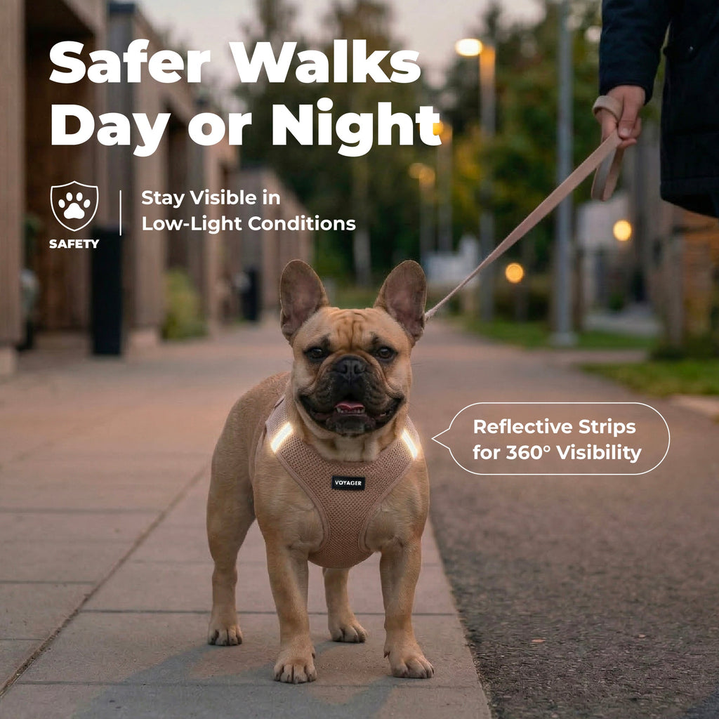 Pet Harness product image 37