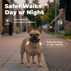 Pet Harness product image 37