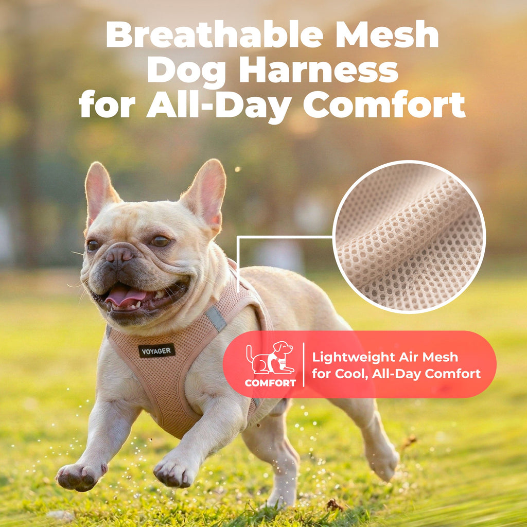 Pet Harness product image 38