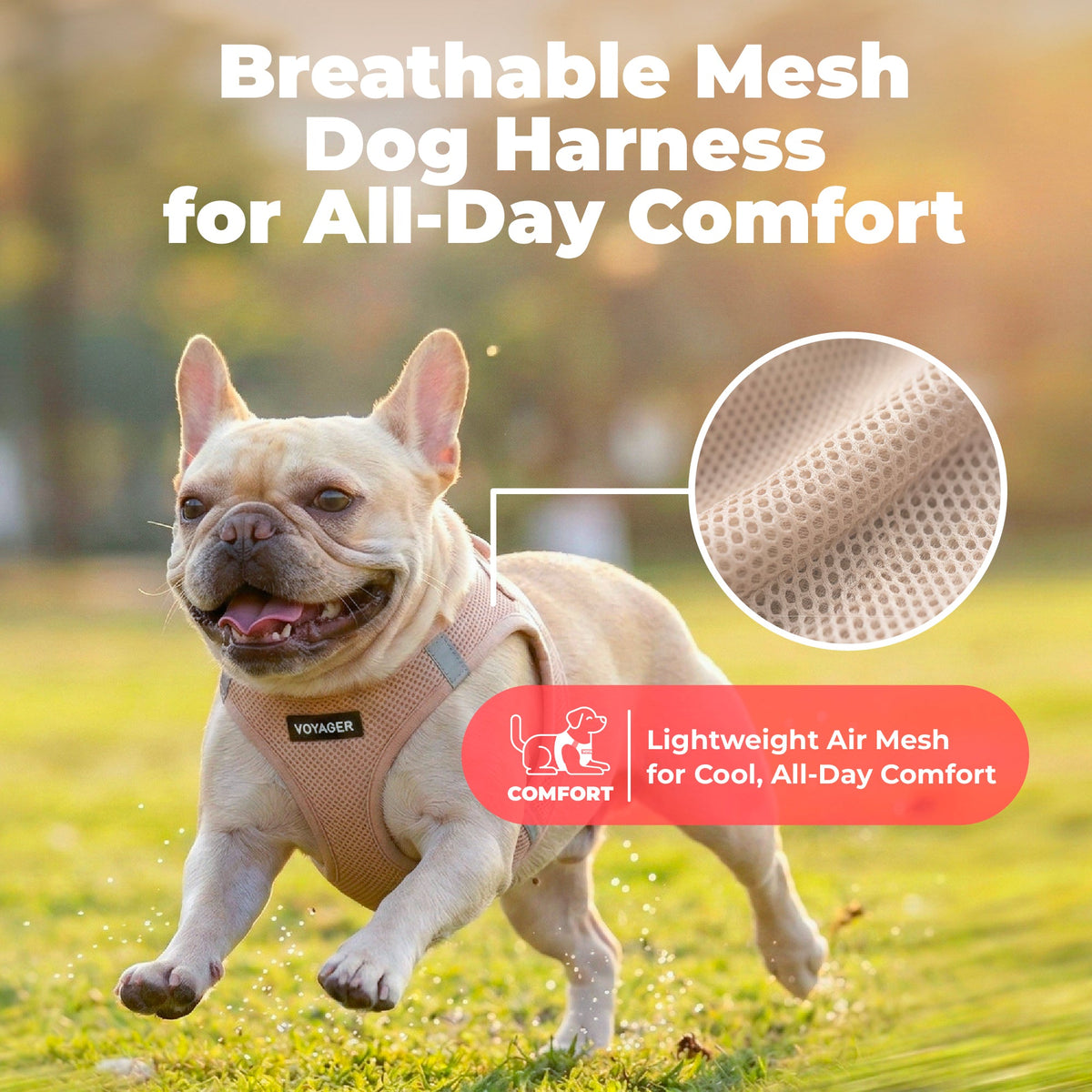 Pet Harness product image 38