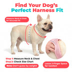 Pet Harness product image 39