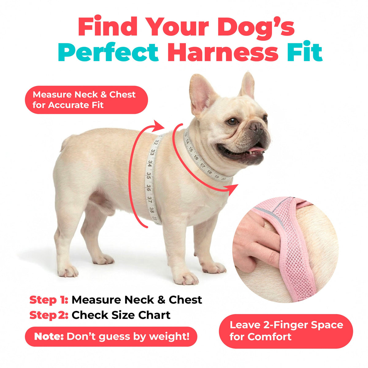 Pet Harness product image 39