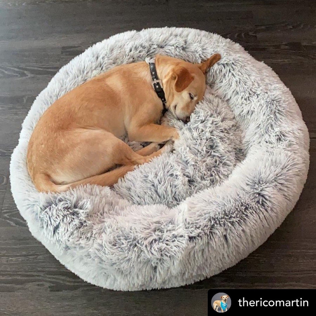 Orthopedic Pet Bed product image 2