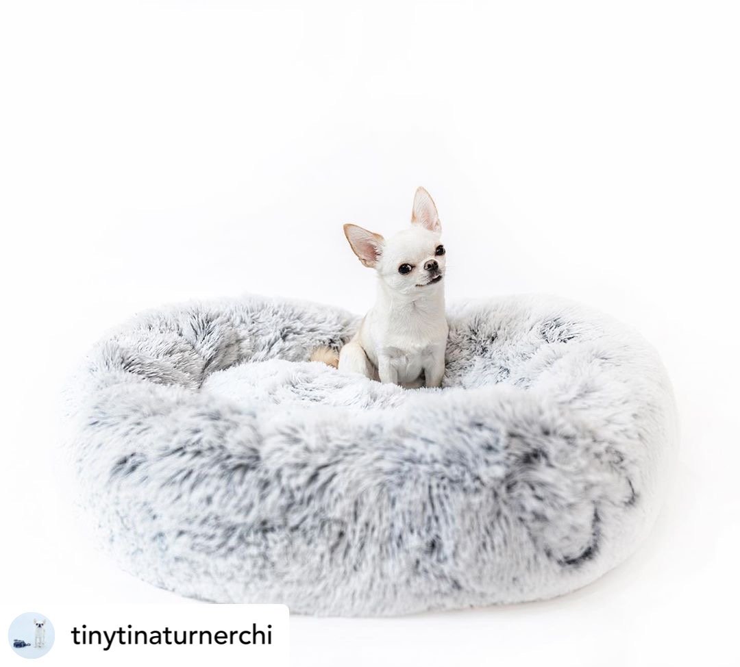 Orthopedic Pet Bed product image 5