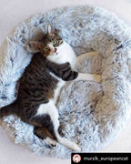 Orthopedic Pet Bed product image 6