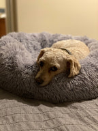 Orthopedic Pet Bed product image 14