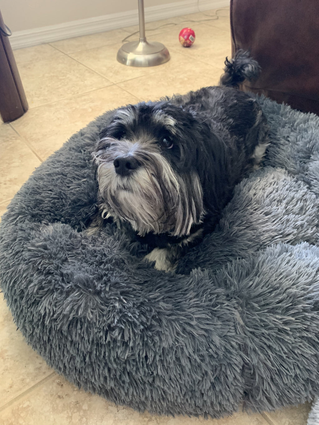 Orthopedic Pet Bed product image 19