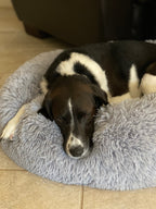 Orthopedic Pet Bed product image 24