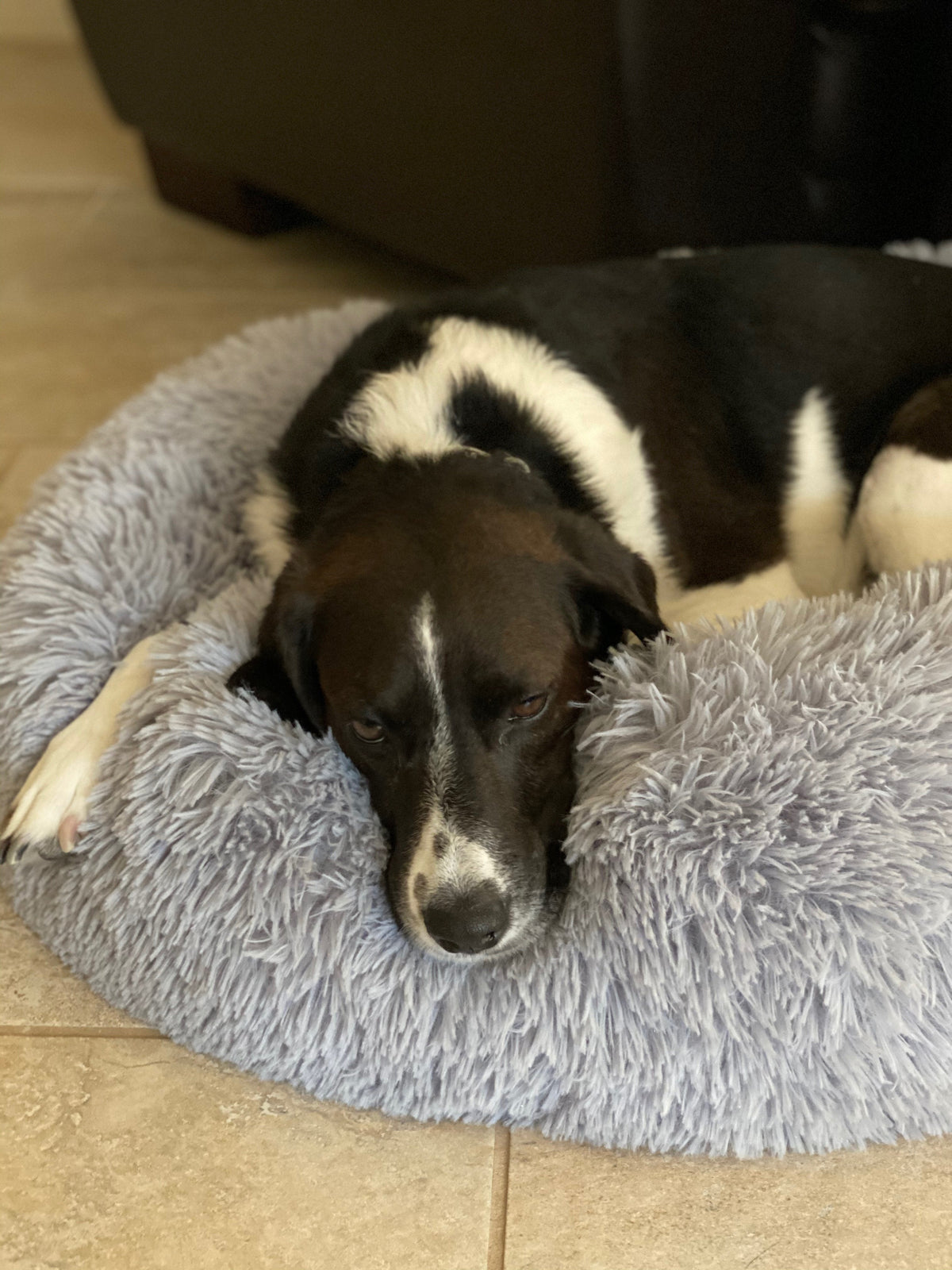 Orthopedic Pet Bed product image 24
