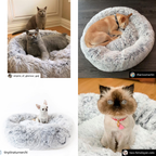 Orthopedic Pet Bed product image 31