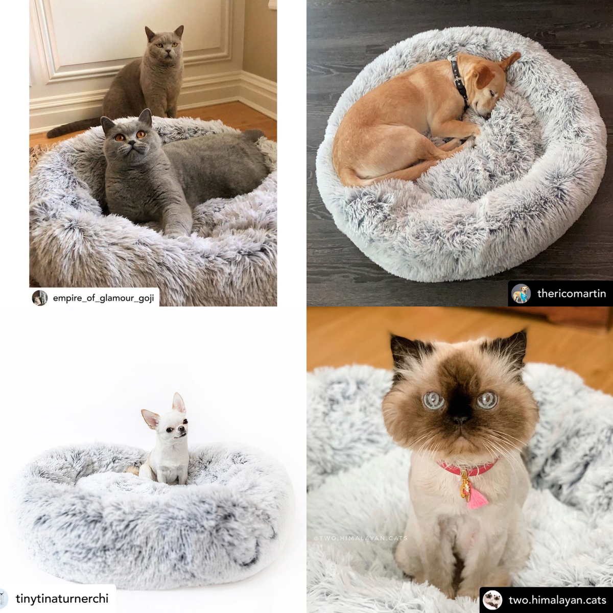 Orthopedic Pet Bed product image 31