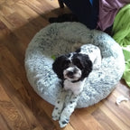 Orthopedic Pet Bed product image 33