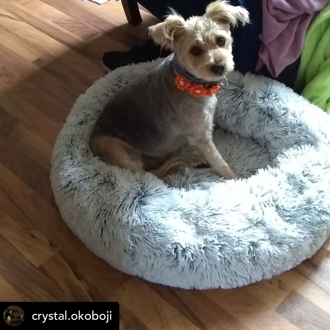 Orthopedic Pet Bed product image 34