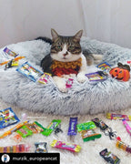 Orthopedic Pet Bed product image 36