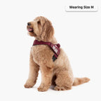 Adjustable Grab-Handle Dog Harness product image 74
