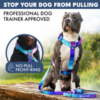 No-Pull Dog Harness product image 3