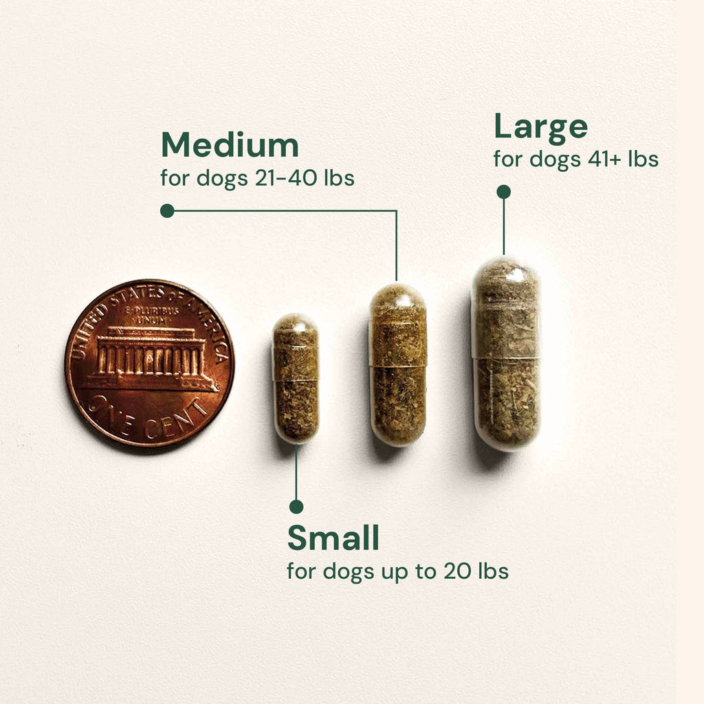 Dog Gut Microbiome Support Capsules product image 11